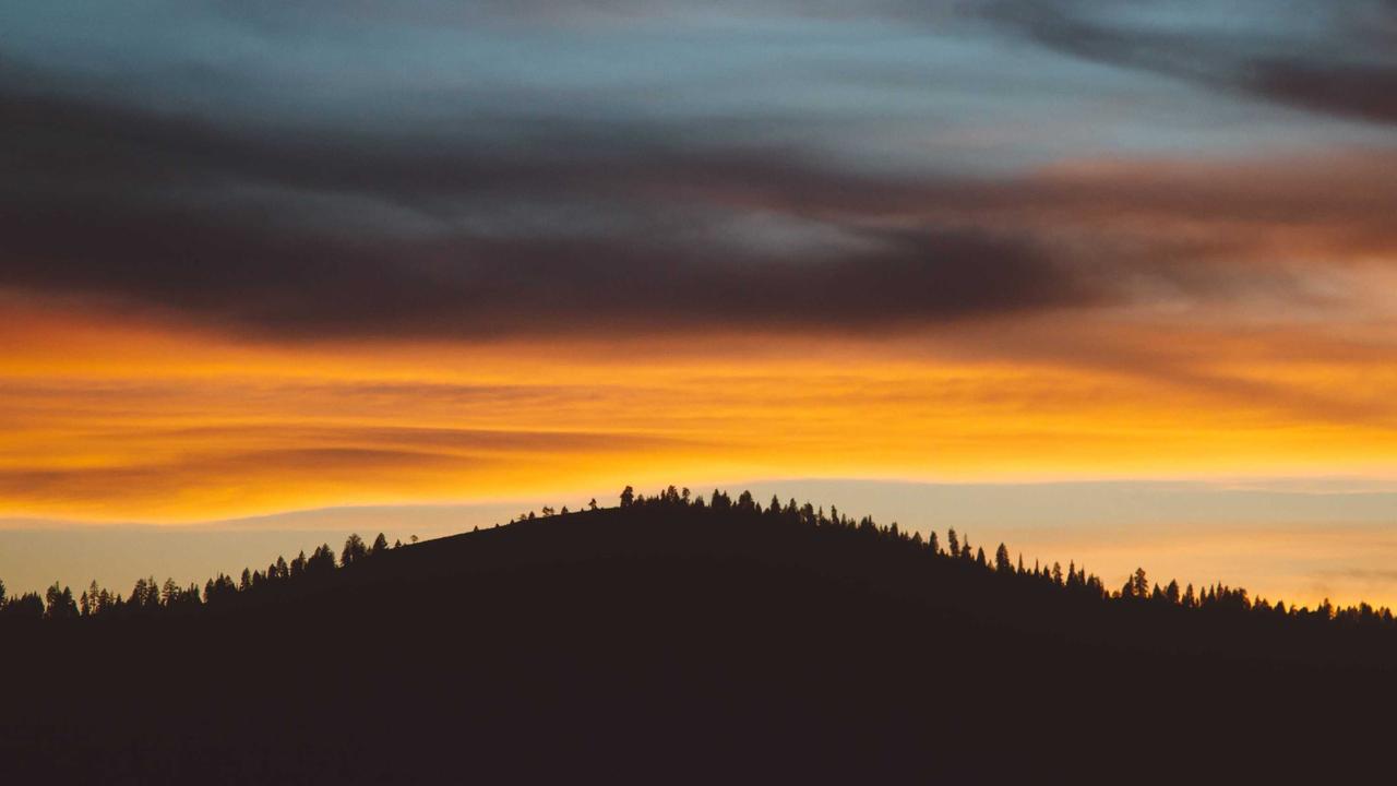 Blog Feature