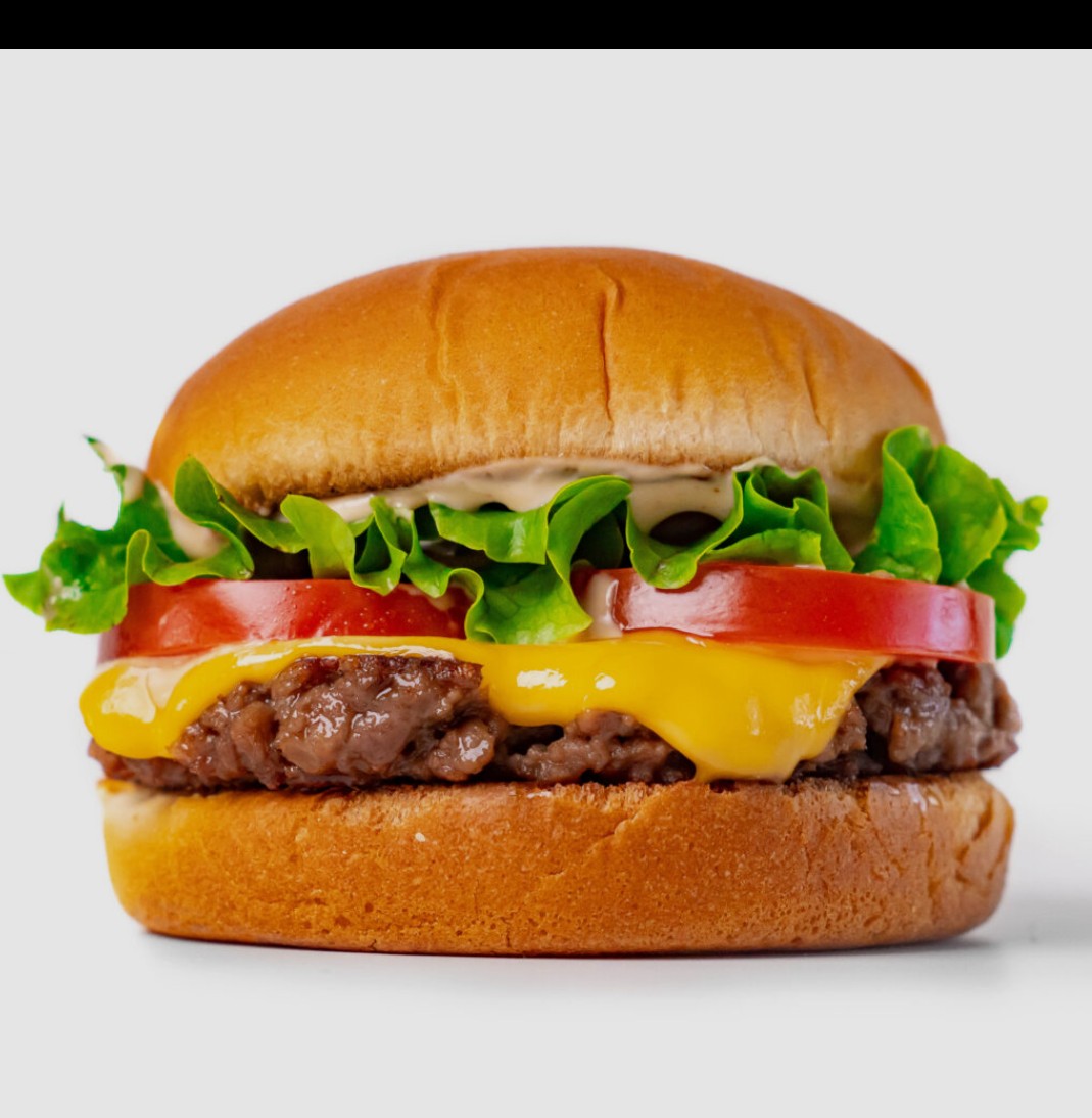 Chicken Special Burger