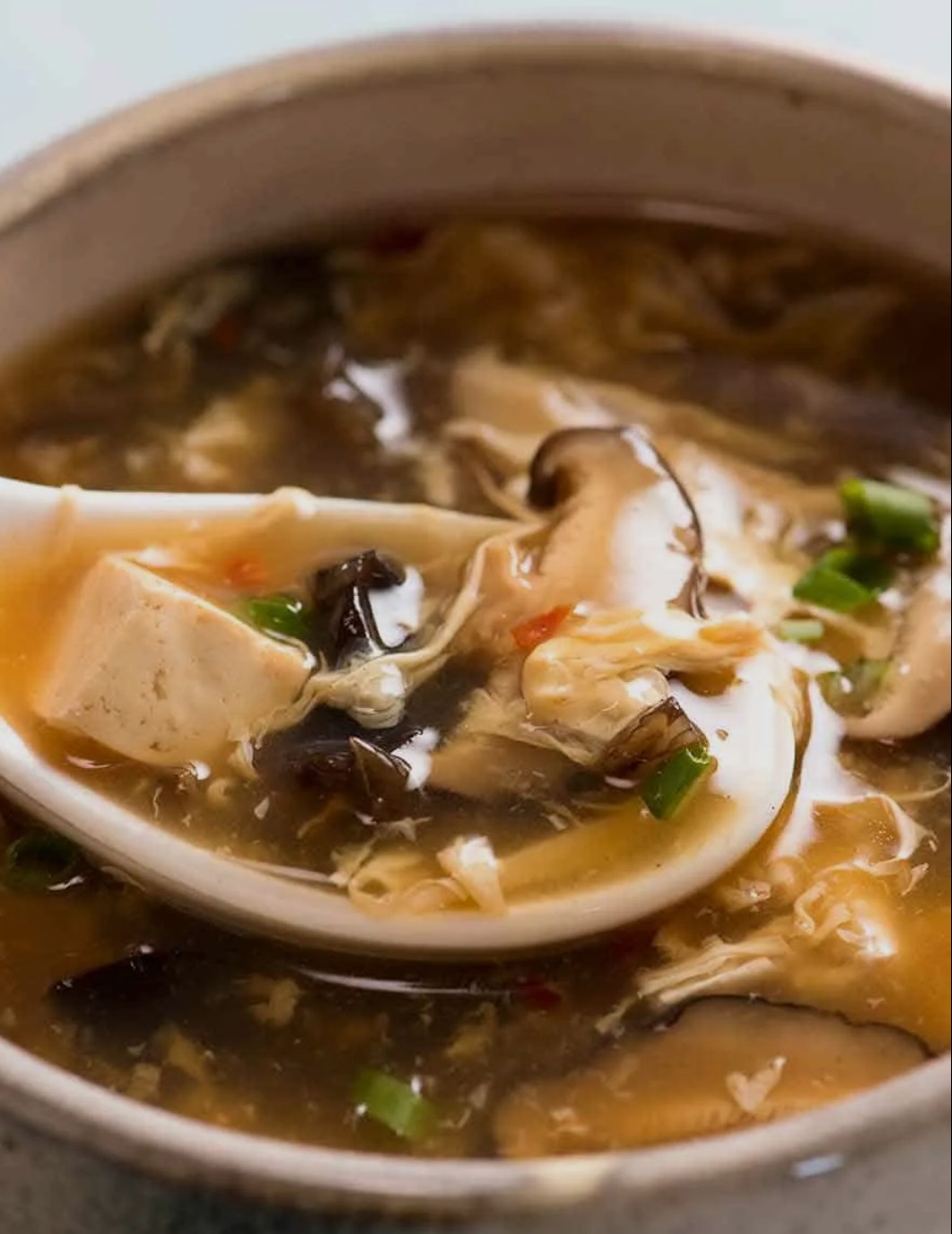 Hot N Source Soup