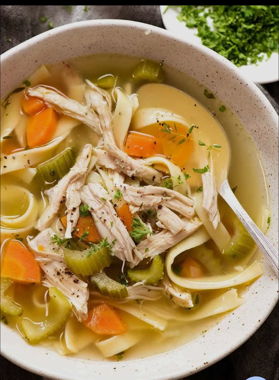 Chicken Noodle Soup